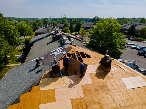 Best Flat Roof Repair Services  in Landis, NC